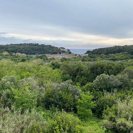 Vista Mare Apartman Póla Kültér fotó